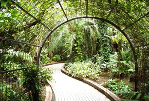 Feng Shui Garden